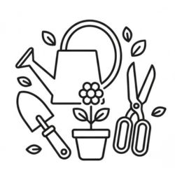 Home and Garden